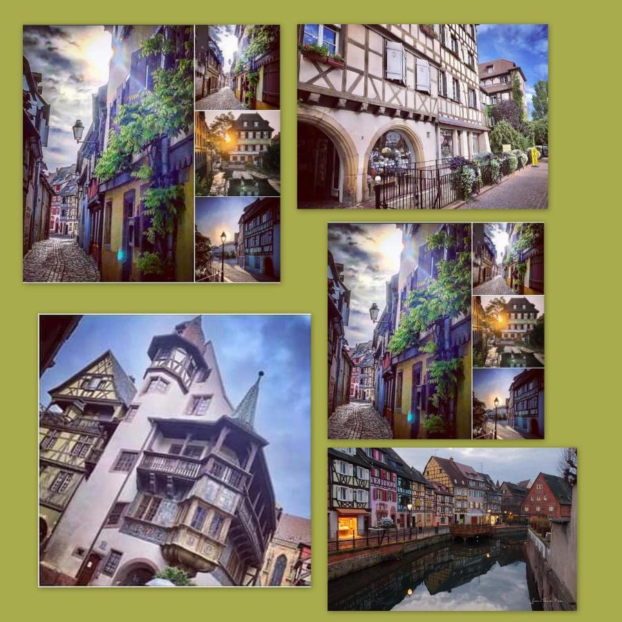 N¨°1 Schongauer Gite De Charme Centre Touristique Colmar Eksteriør bilde