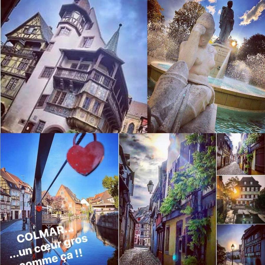 N¨°1 Schongauer Gite De Charme Centre Touristique Colmar Eksteriør bilde